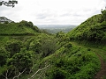 15 Kuilau Ridge trail